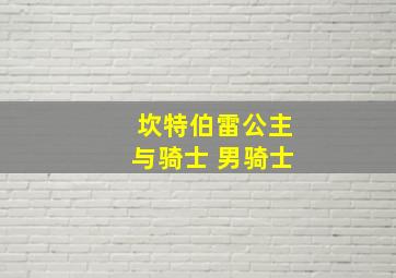 坎特伯雷公主与骑士 男骑士